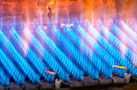 Pincheon Green gas fired boilers